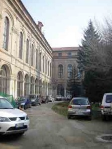 poliamb