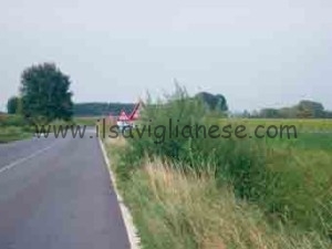 erba alta strade