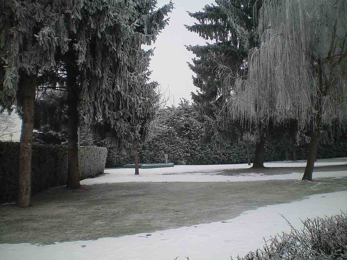 Una strana neve