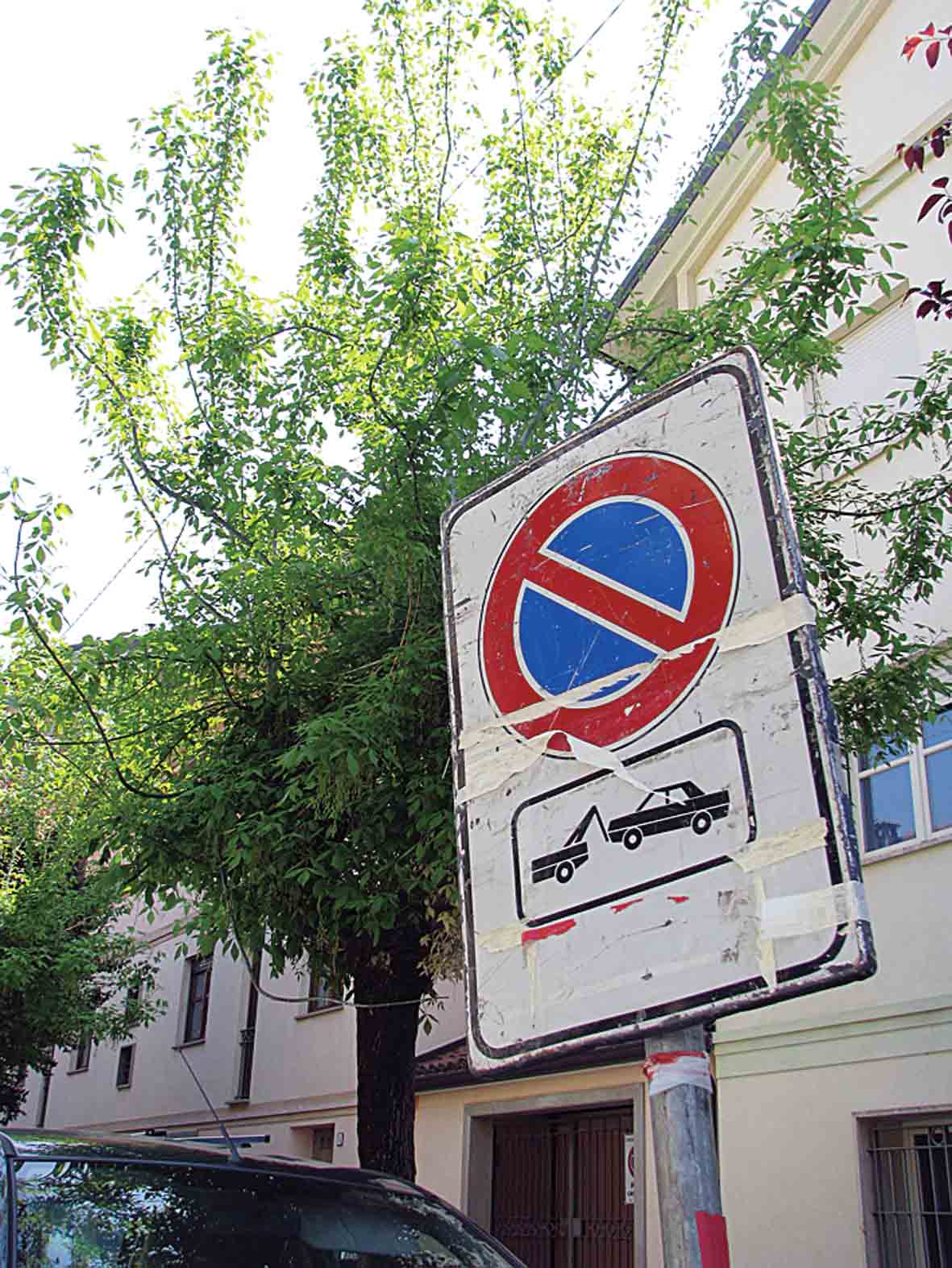 «Tagliano gli alberi!» ma è un falso allarme