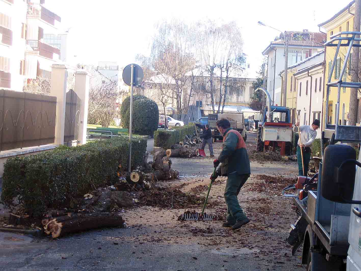 Via Biga, sostituiti gli alberi