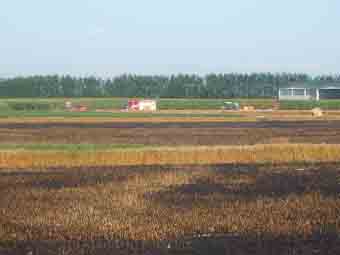 In fiamme un campo di grano
