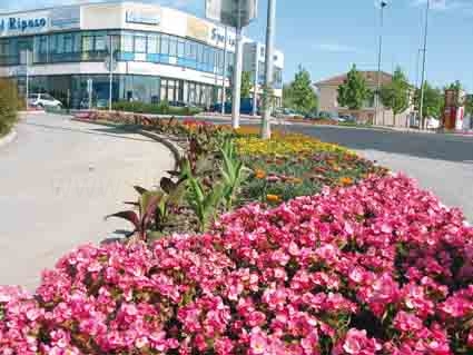 Savigliano al concorso Communities in Bloom
