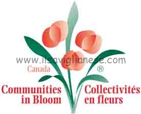 Ufficializzata la partecipazione a “Communities in bloom”