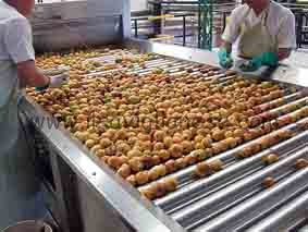 Il polo agroindustriale si chiamerà Fruttinnova