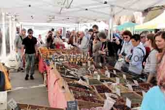 I vent’anni di Quintessenza si celebrano con l’infiorata