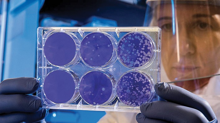 Virus, scuole ancora chiuse