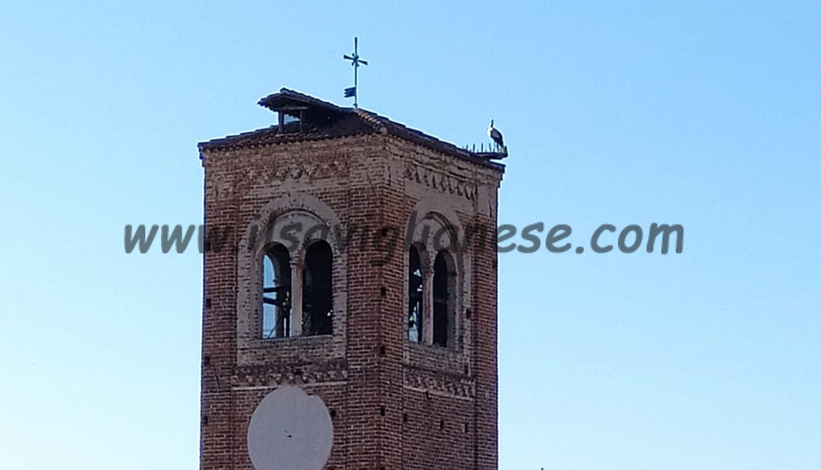 Gira e rigira, la cicogna si farà la “seconda casa”?