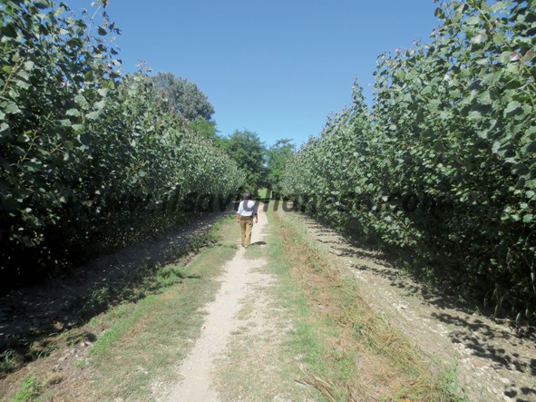Savigliano, chiusura dei sentieri e passeggiate sul fiume dopo il nubifragio