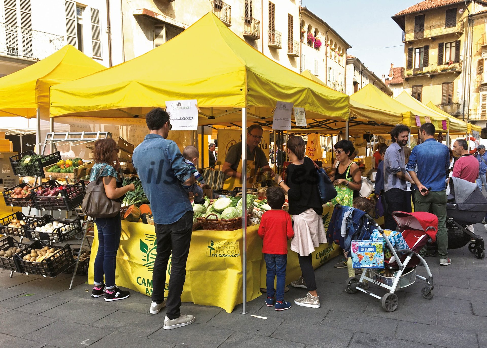 Arrivano i gazebo gialli di Campagna Amica