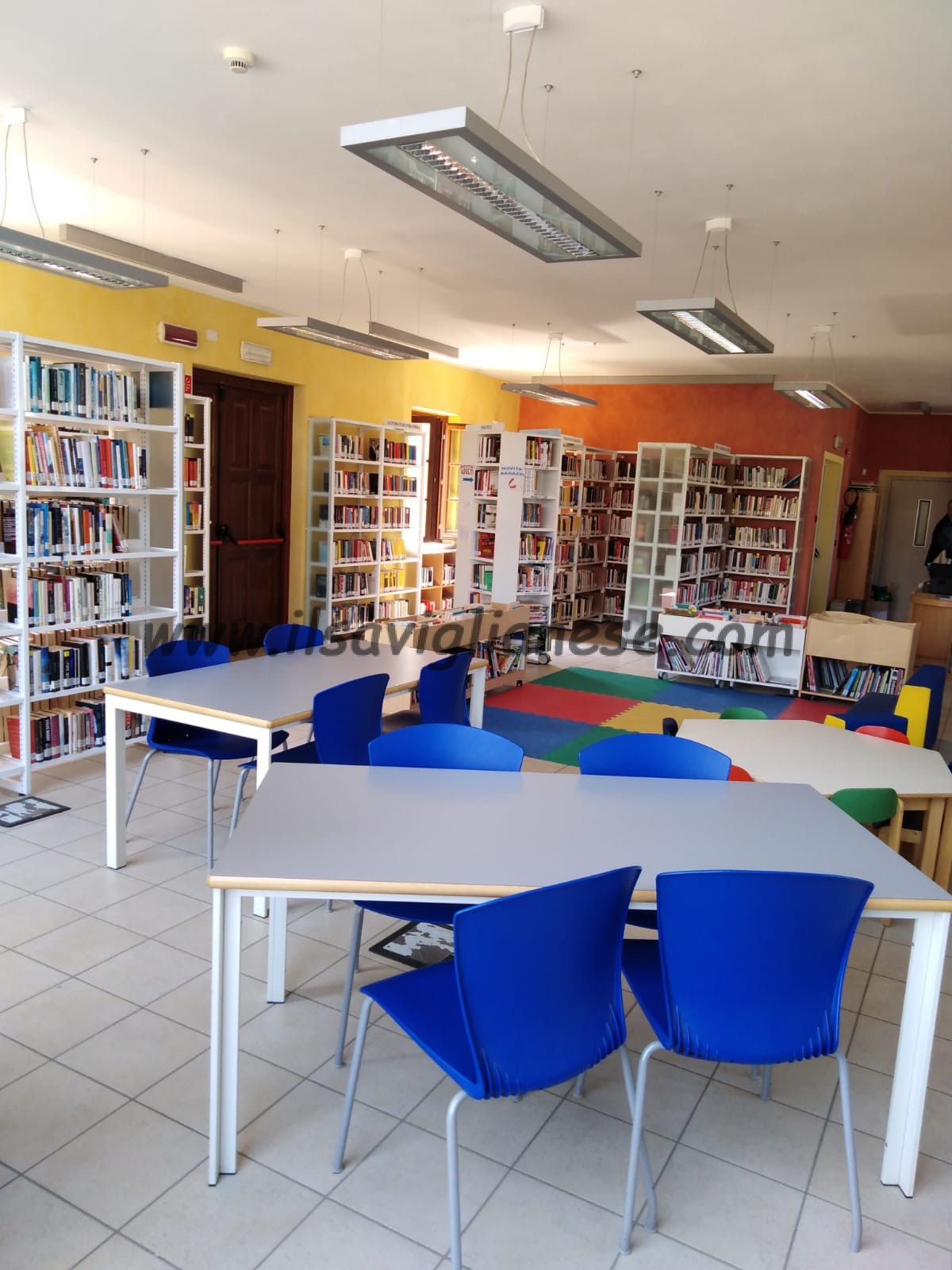 Nuovi libri in prestito alla biblioteca