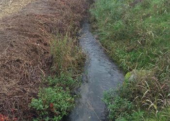 Rio Freddo, appaltati i lavori