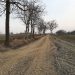 È stato ripristinato il fondo della strada vicinale