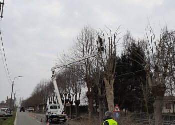 Aiutano il Comune in varie attività