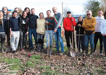 Artisti dal pollice verde danno vita ad un bosco