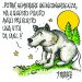 Avvistato un lupo nelle campagne tra Cavallermaggiore e Racconigi