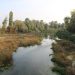 Flowing with the rivers, da Savigliano a Cambiano lungo i fiumi: data e info