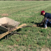 Nasce un bosco urbano di 400 piante
