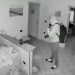 Pater Familias, arrestata la banda che aveva colpito Racconigi e Cavallerleone [VIDEO]