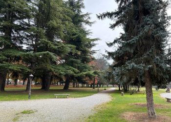 Tanti eventi per la Settimana comunitaria