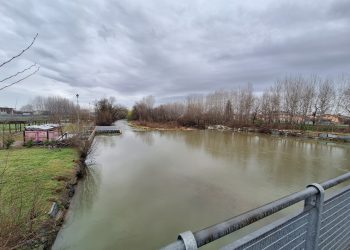 Quindicenne trovata senza vita tra le acque del Maira