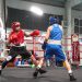 La boxe vuole bissare il successo: domenica 17 si torna sul ring