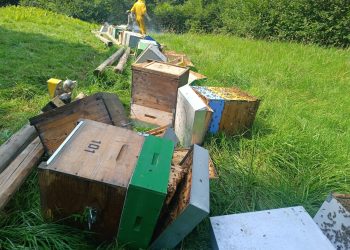 Sabotato giovane apicoltore: parte la raccolta fondi