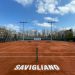 Canale WhatsApp