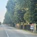 Il viale del santuario è un problema? L’esperto incontra i residenti