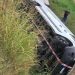 Per evitare un cinghiale è uscito di strada sulla Reale