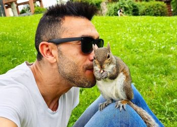 Maurizio e i “suoi” scoiattoli hanno superato i 20mila followers sui social