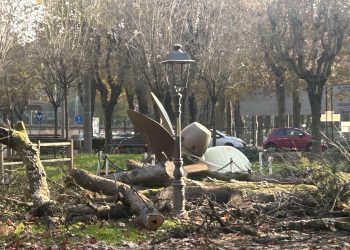 Troppo malato e pericoloso, l’ippocastano è stato abbattuto in anticipo