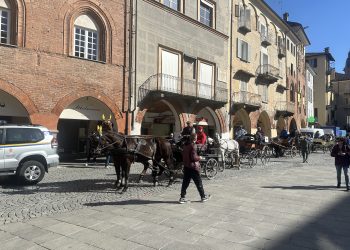 Riparte la carovana del Paradriving, dalla Granda al Torinese in carrozza