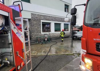 Incendio alla “Gran baita”: veterinario in soccorso dei gatti