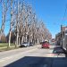 Raccolte cento firme per rendere più sicuro viale Piave