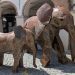 Nuove sculture nel centro storico: da dove provengono e perché sono lì
